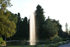 SONY DSC