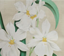 jardins1